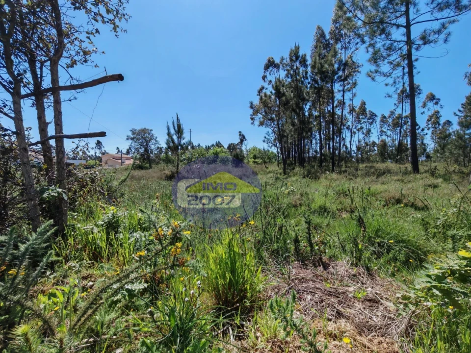 Terreno para Venda em Ovar, São João, Arada e São Vicente de Pereira Jusã Foto 3