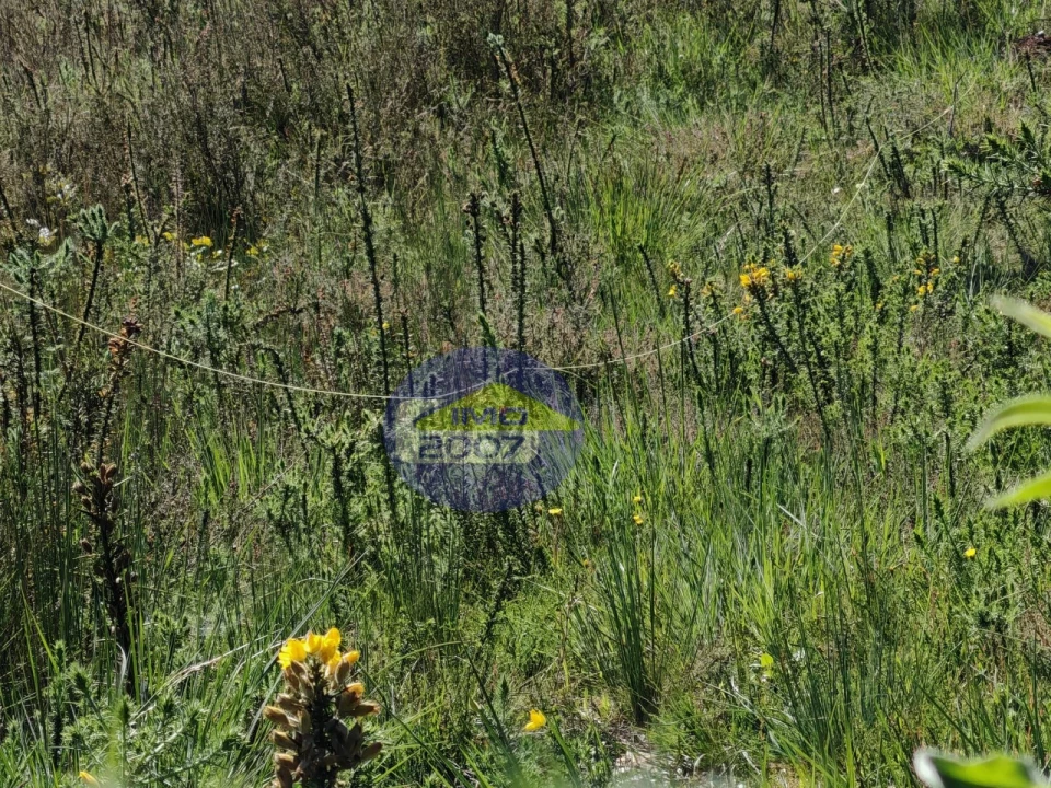 Terreno para Venda em Ovar, São João, Arada e São Vicente de Pereira Jusã Foto 4