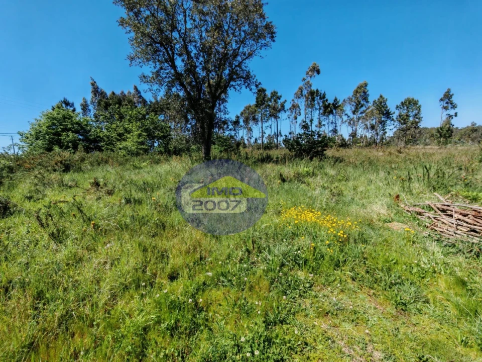Terreno para Venda em Ovar, São João, Arada e São Vicente de Pereira Jusã Foto 13
