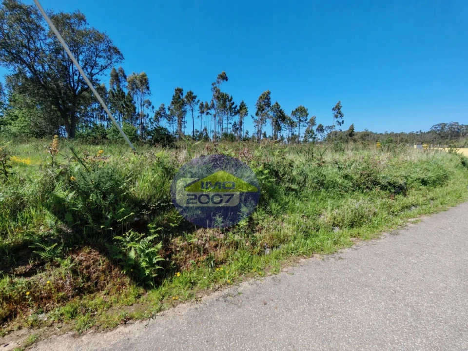 Terreno para Venda em Ovar, São João, Arada e São Vicente de Pereira Jusã Foto 15