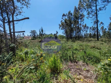 Terreno para Venda em Ovar, São João, Arada e São Vicente de Pereira Jusã