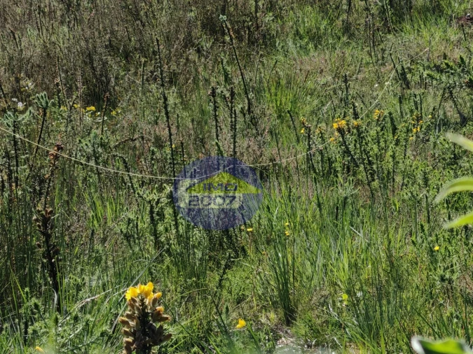 Terreno para Venda em Ovar, São João, Arada e São Vicente de Pereira Jusã Foto 4