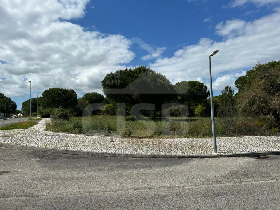 Terreno para Venda em Santo Estêvão Foto 7