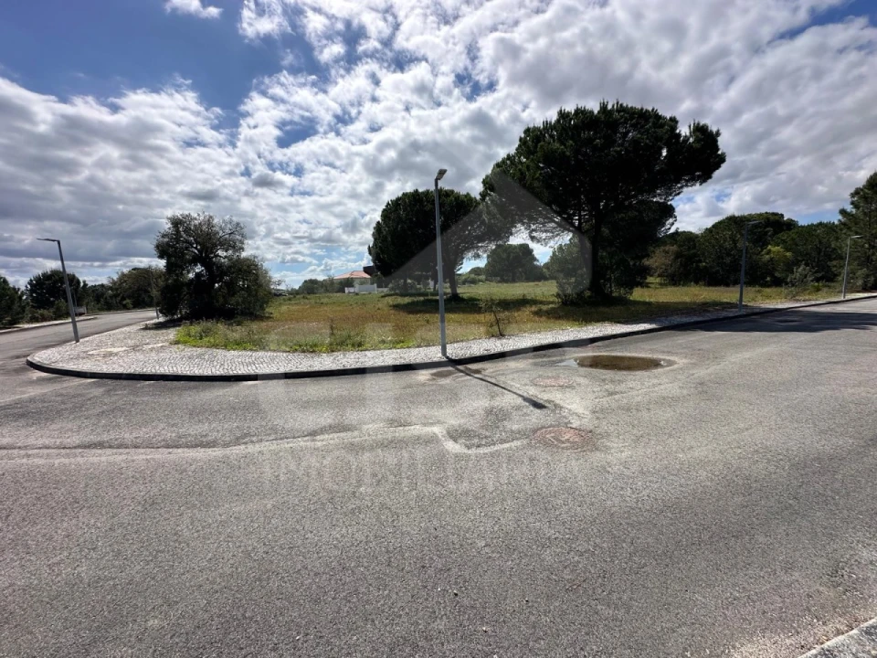 Terreno para Venda em Santo Estêvão Foto 8