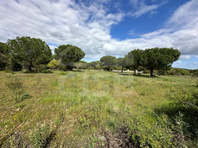 Terreno para Venda em Santo Estêvão Foto 3