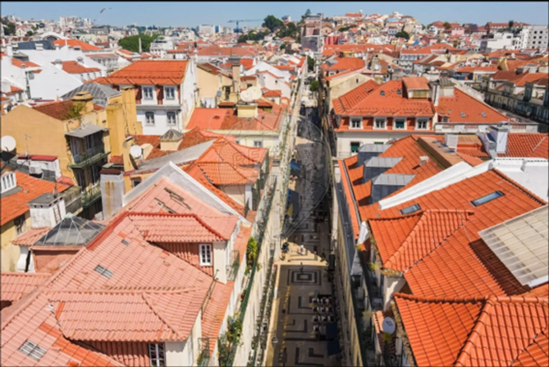 Apartamento T3 para Venda em Santa Maria Maior Foto 17