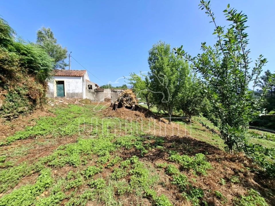 Moradia T2 para Venda em Lanheses Foto 13