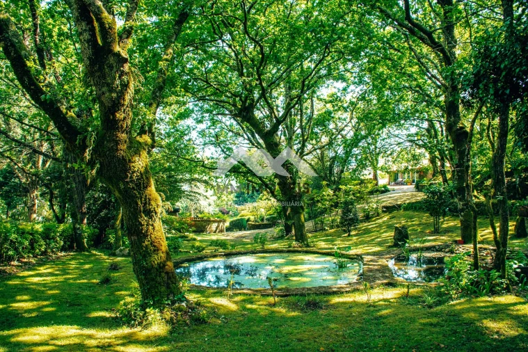 Quinta T6 para Venda em Mentrestido Foto 15