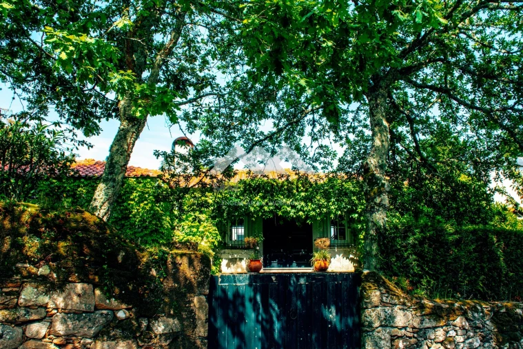 Quinta T6 para Venda em Mentrestido Foto 12