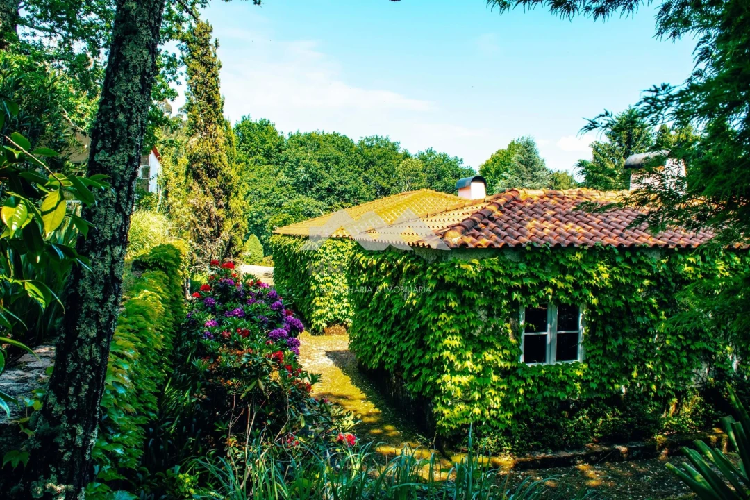 Quinta T6 para Venda em Mentrestido Foto 5