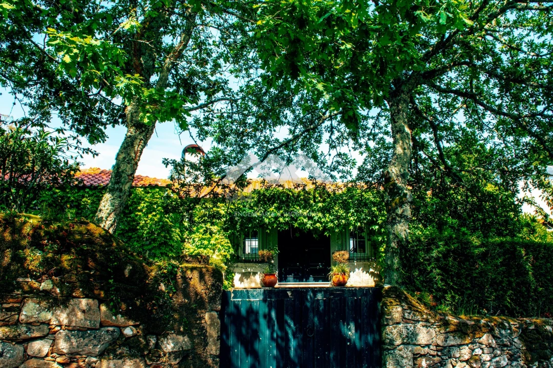 Quinta T6 para Venda em Mentrestido Foto 12