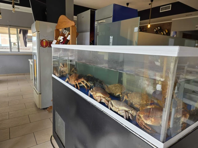 Negócio para Venda em Silveira Foto 12