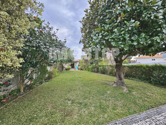 Moradia T4 para Venda em Recardães e Espinhel Foto 37