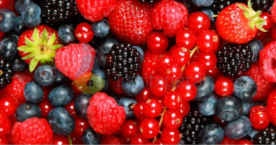 Terreno Agricola ou Rústico para Venda em Alcantarilha e Pêra Foto 2