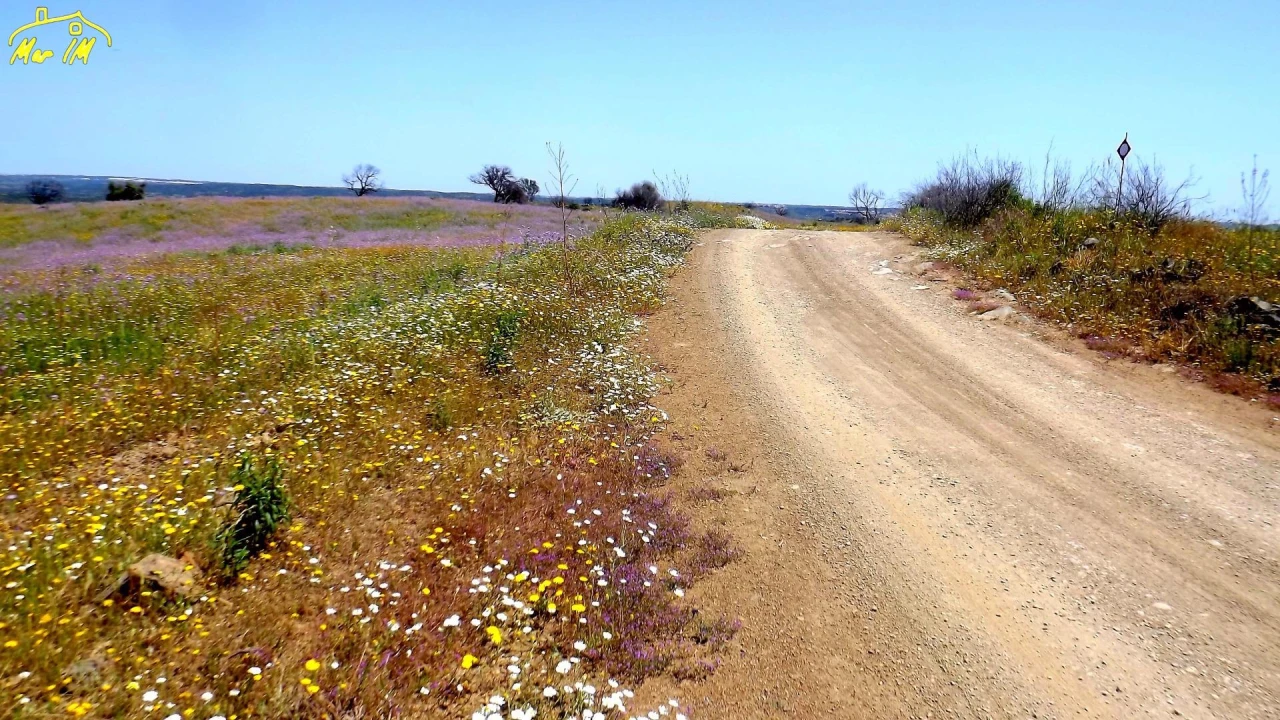 Terreno Agricola ou Rústico para Venda em Azinhal Foto 3