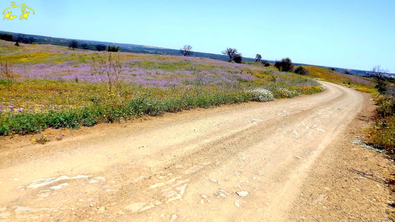 Terreno Agricola ou Rústico para Venda em Azinhal Foto 5