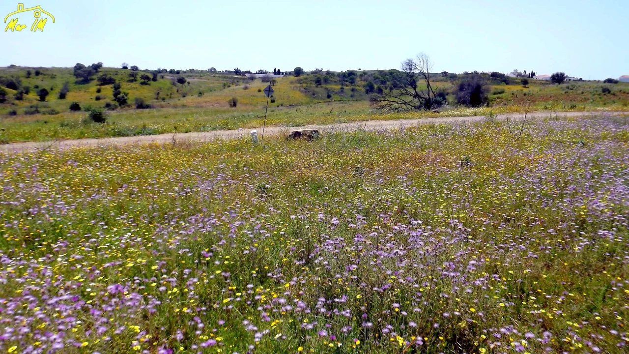 Terreno Agricola ou Rústico para Venda em Azinhal Foto 18