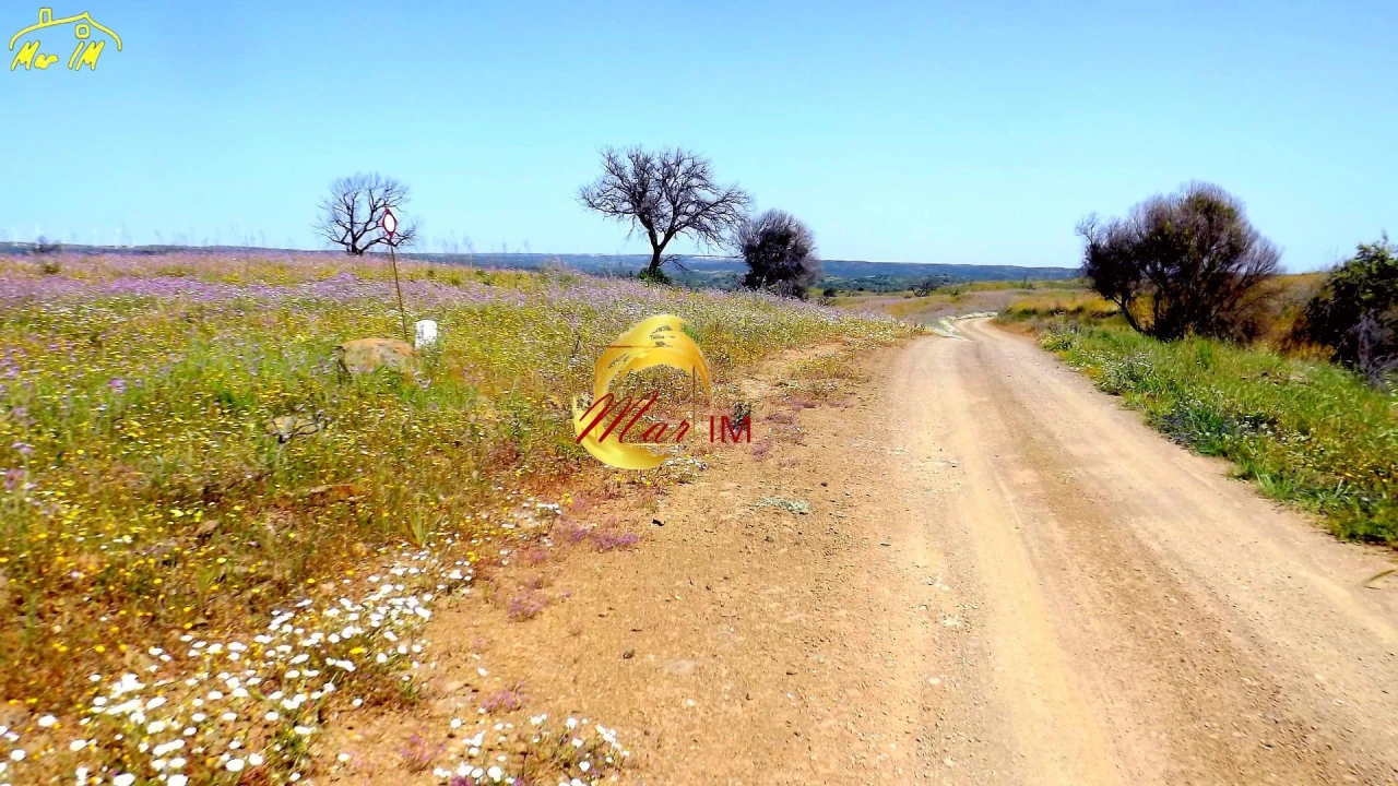 Terreno Agricola ou Rústico para Venda em Azinhal Foto 13