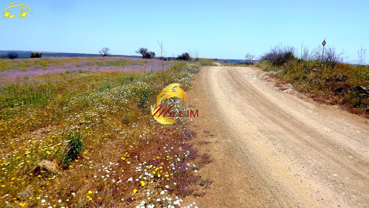 Terreno Agricola ou Rústico para Venda em Azinhal Foto 2