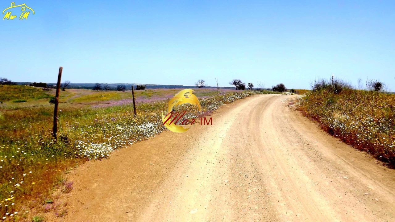 Terreno Agricola ou Rústico para Venda em Azinhal Foto 4