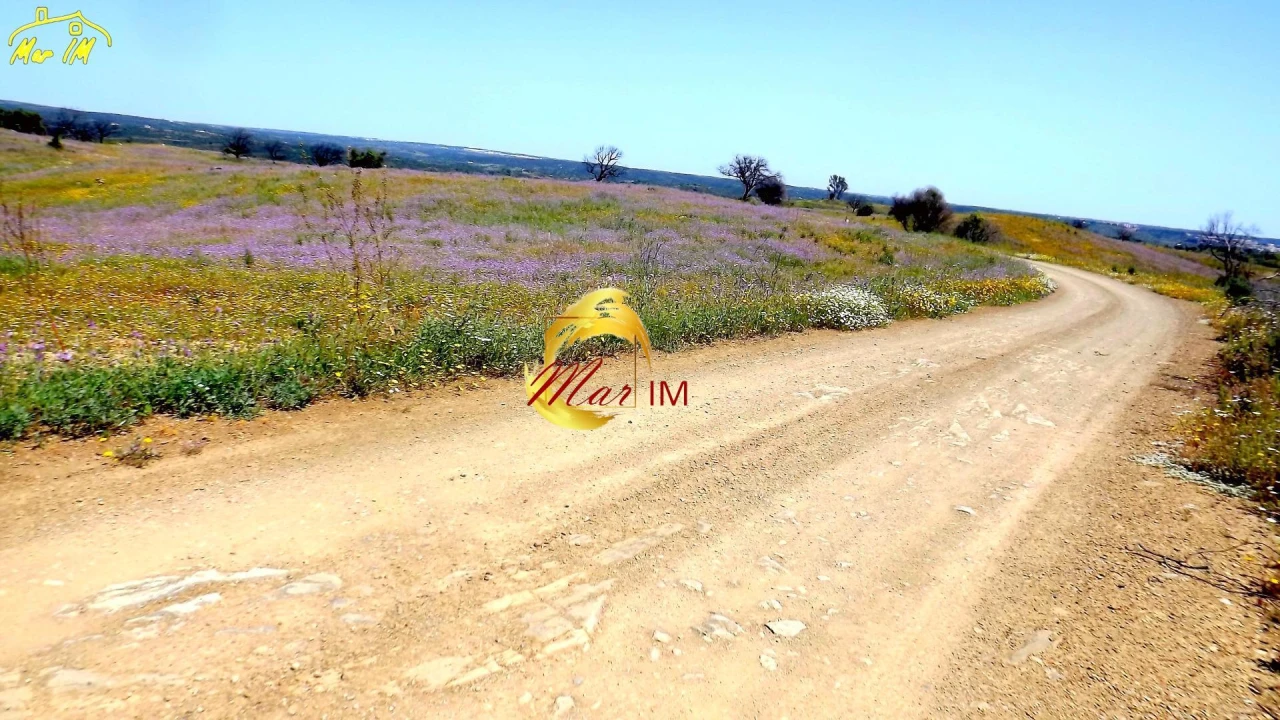 Terreno Agricola ou Rústico para Venda em Azinhal Foto 6