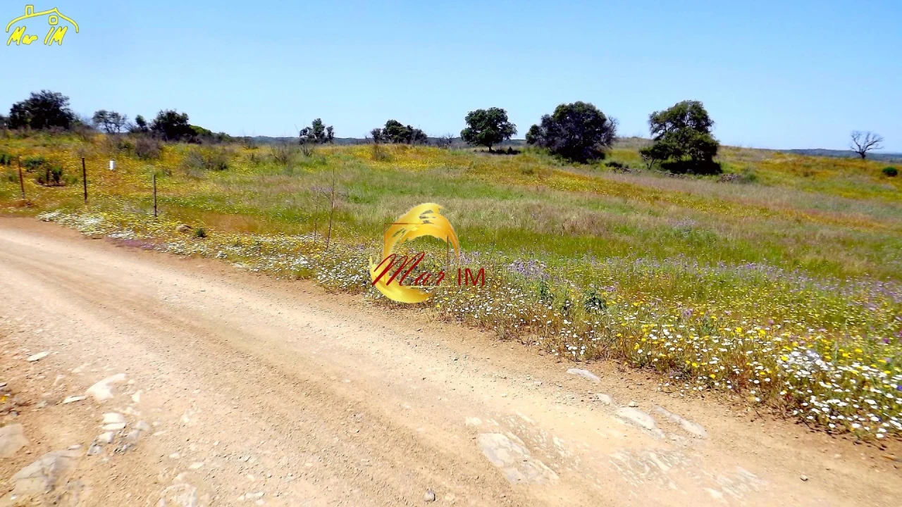 Terreno Agricola ou Rústico para Venda em Azinhal Foto 8