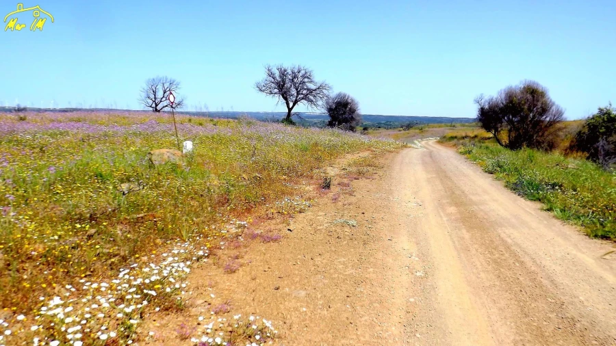 Terreno Agricola ou Rústico para Venda em Azinhal Foto 13