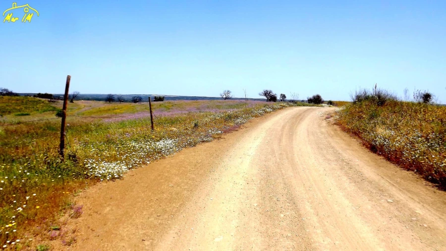 Terreno Agricola ou Rústico para Venda em Azinhal Foto 3