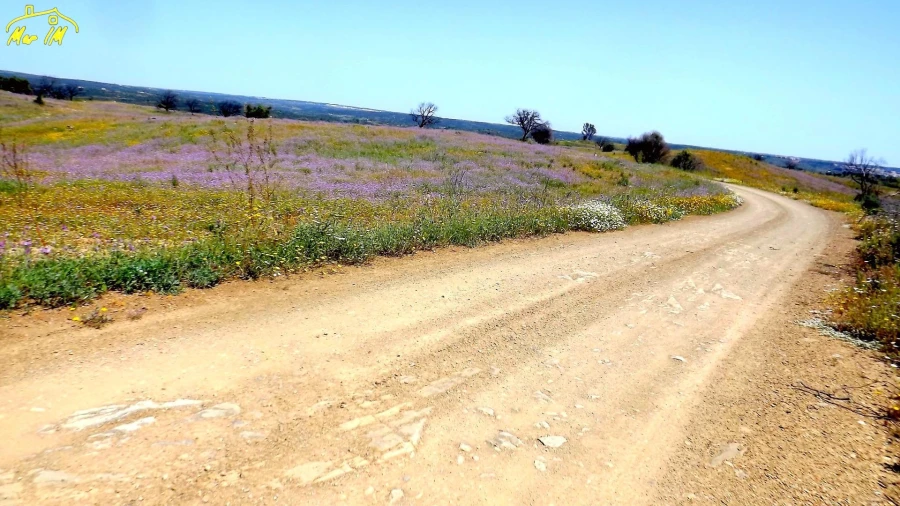 Terreno Agricola ou Rústico para Venda em Azinhal Foto 6