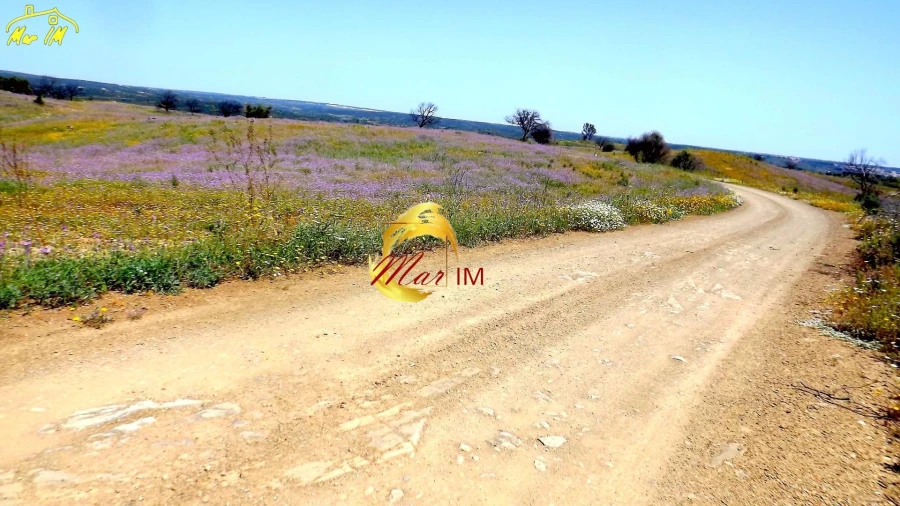 Terreno Agricola ou Rústico para Venda em Azinhal Foto 6