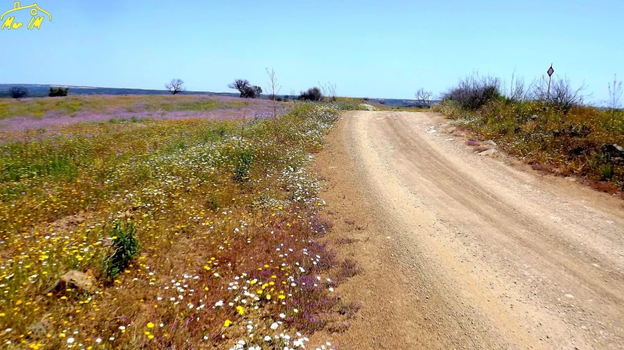 Terreno Agricola ou Rústico para Venda em Azinhal