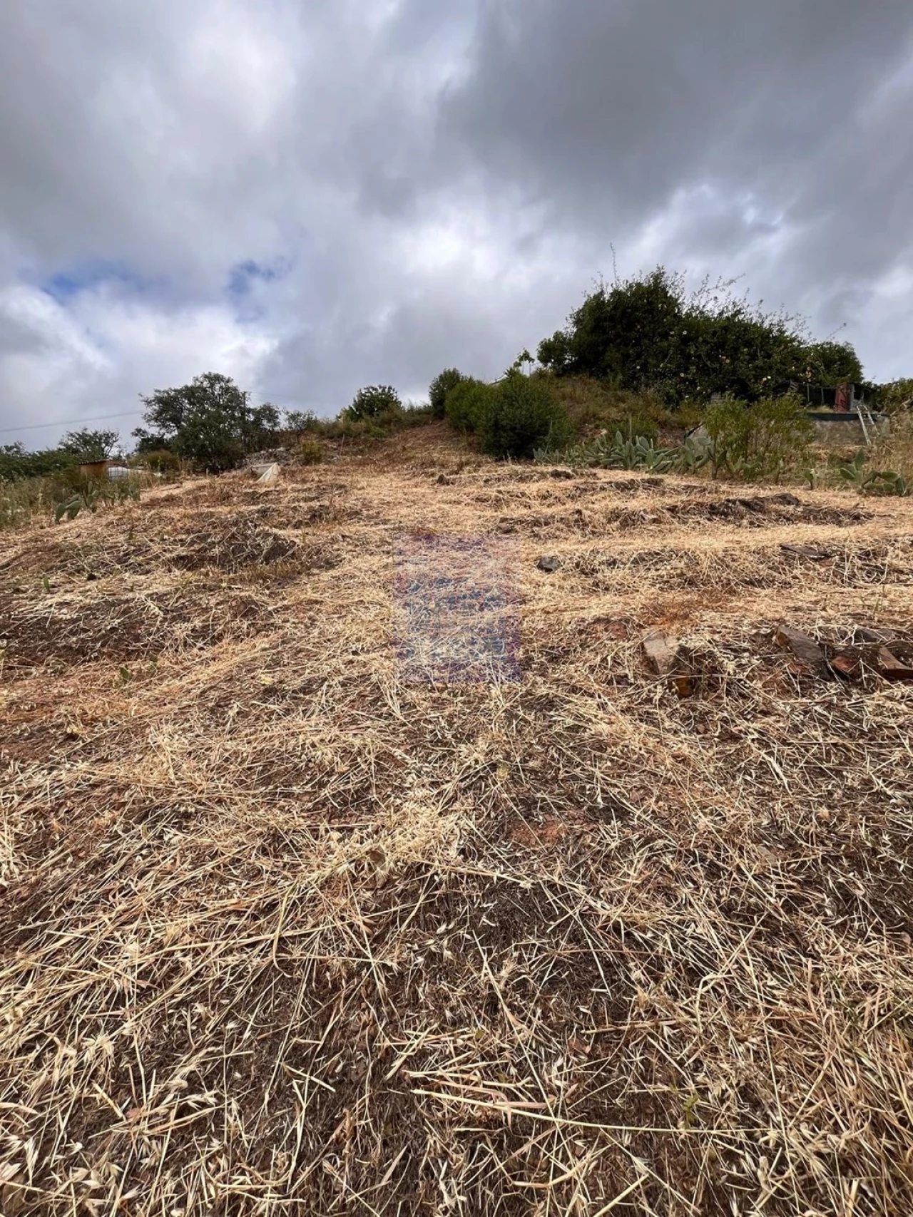 Quinta T3 para Venda em São Silvestre Foto 28