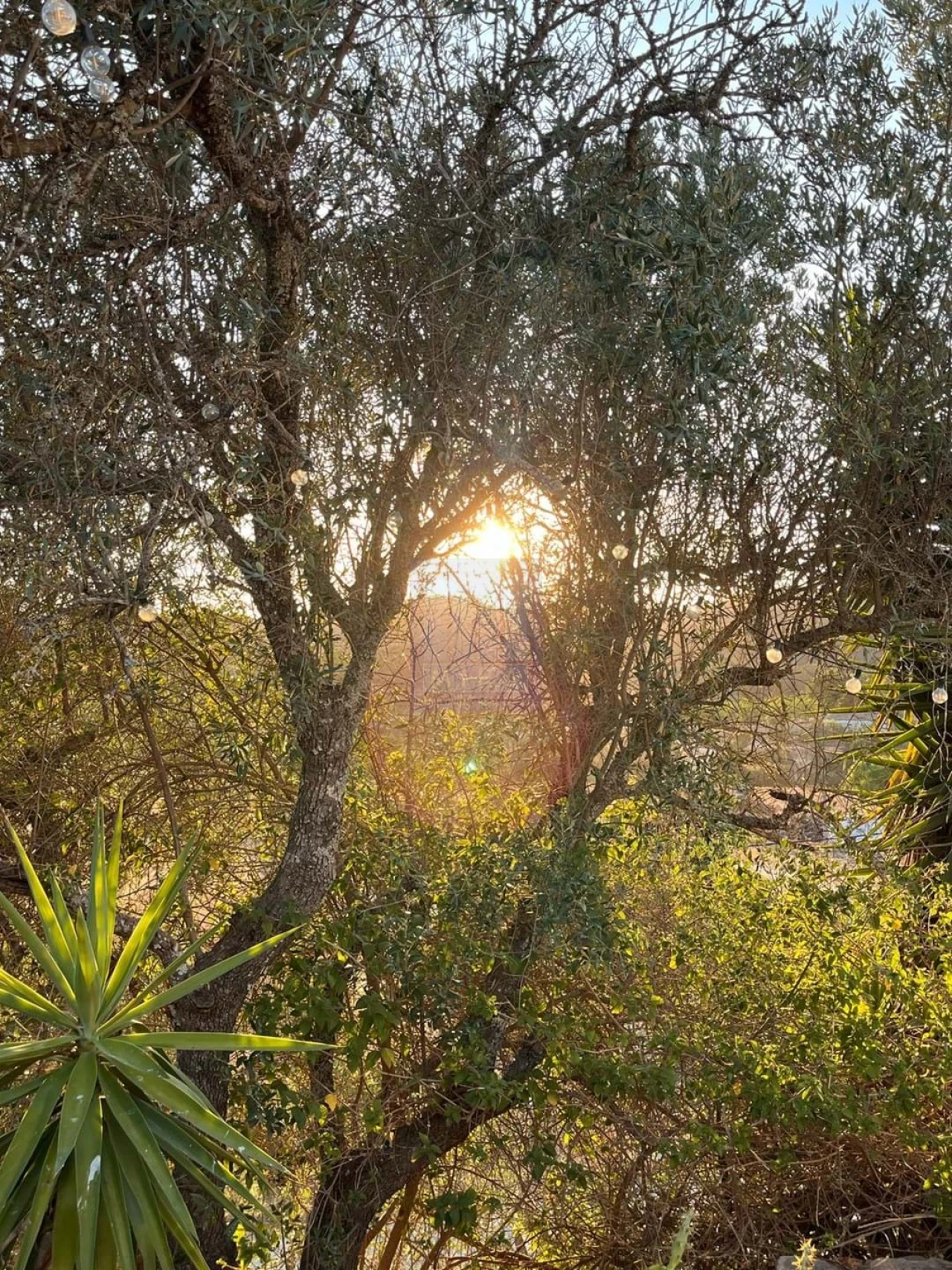 Quinta T3 para Venda em São Silvestre Foto 6