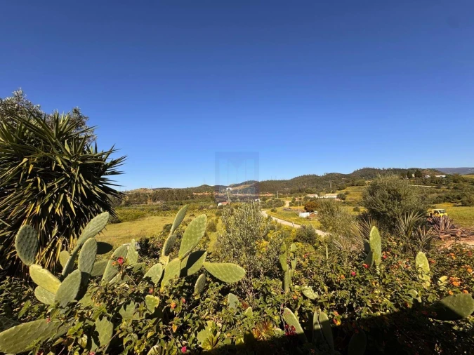 Quinta T3 para Venda em São Silvestre Foto 11