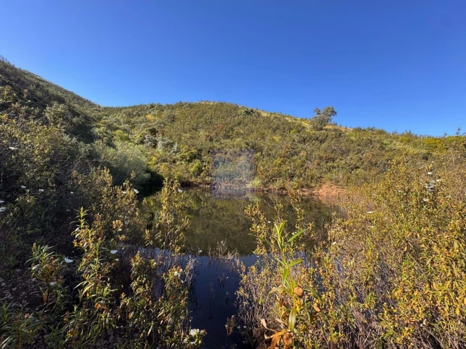 Quinta T3 para Venda em São Silvestre Foto 10