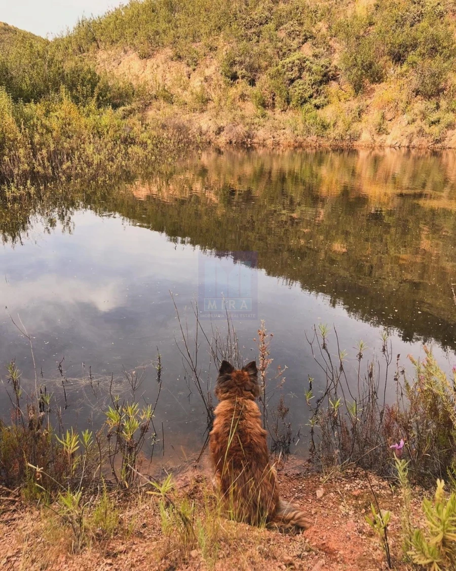 Quinta T3 para Venda em São Silvestre Foto 27
