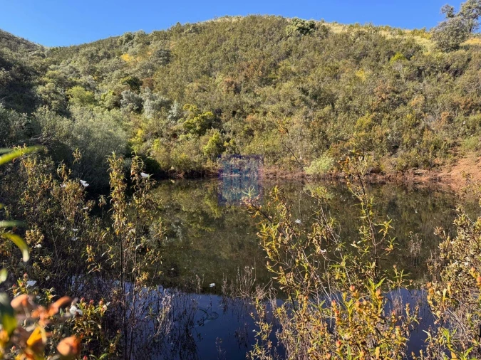 Quinta T3 para Venda em São Silvestre Foto 16