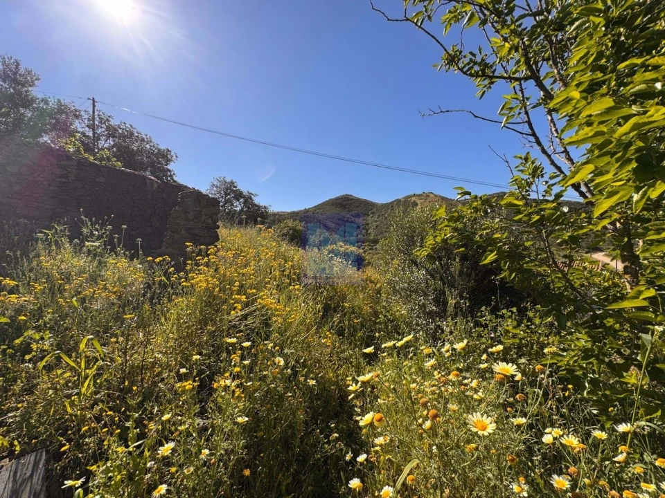 Quinta T3 para Venda em São Silvestre Foto 19