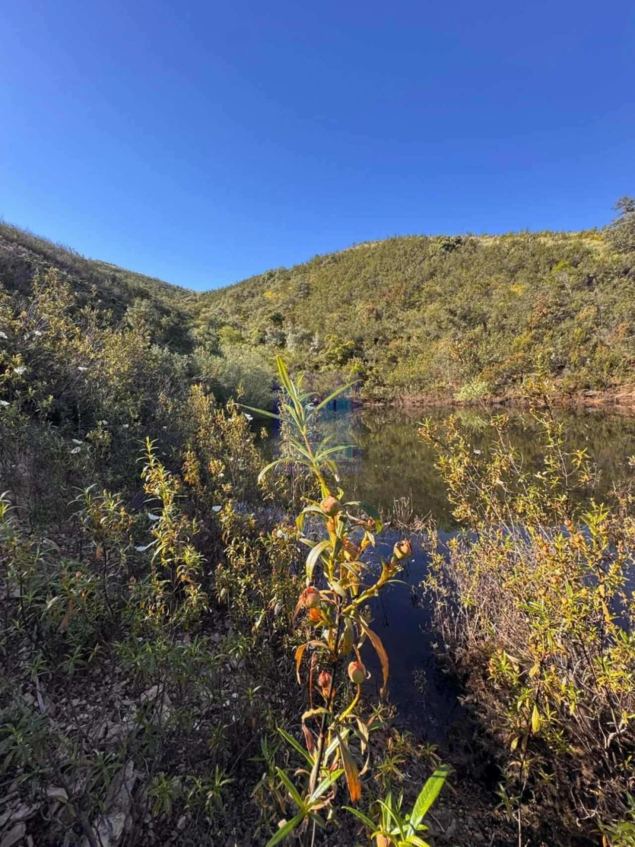 Quinta T3 para Venda em São Silvestre Foto 14