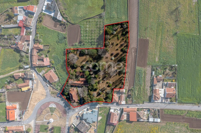 Quinta T6 para Venda em Ovar, São João, Arada e São Vicente de Pereira Jusã Foto 40