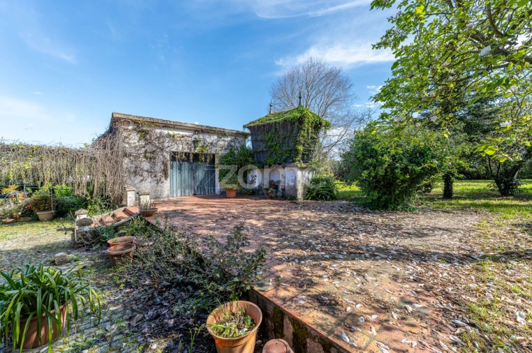 Quinta T6 para Venda em Ovar, São João, Arada e São Vicente de Pereira Jusã Foto 35