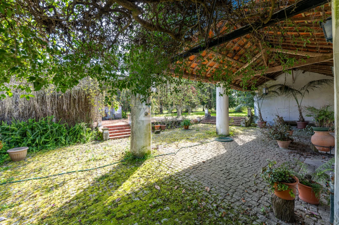 Quinta T6 para Venda em Ovar, São João, Arada e São Vicente de Pereira Jusã Foto 36