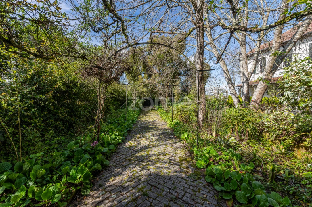 Quinta T6 para Venda em Ovar, São João, Arada e São Vicente de Pereira Jusã Foto 38