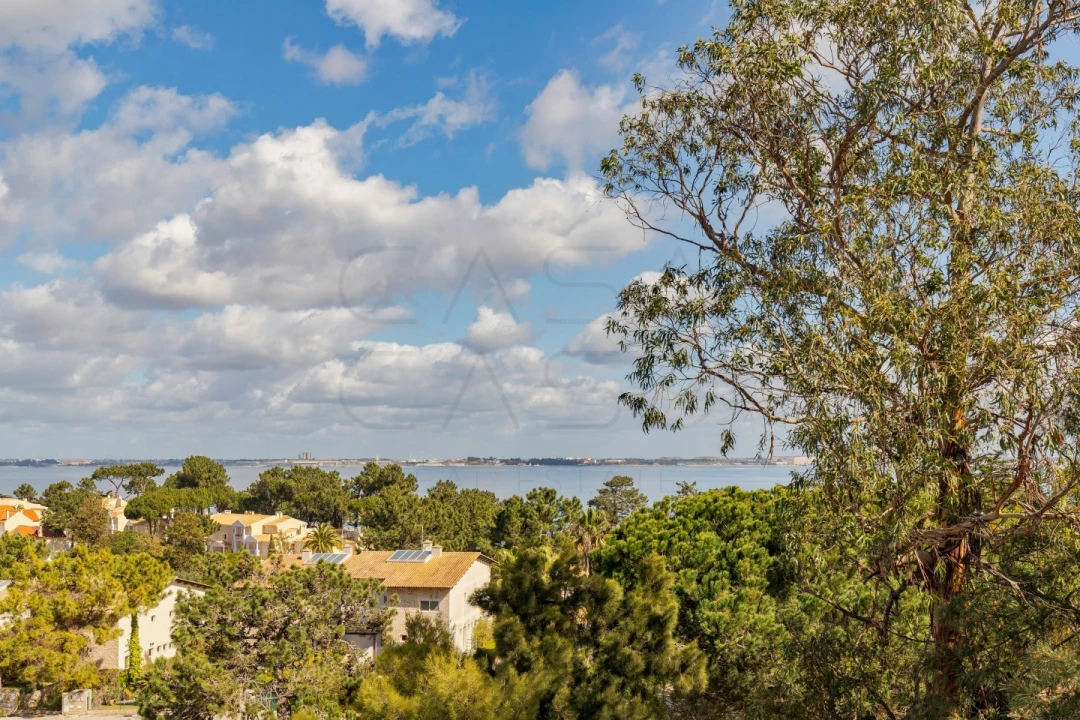 Apartamento T4 para Venda em Carvalhal Foto 13