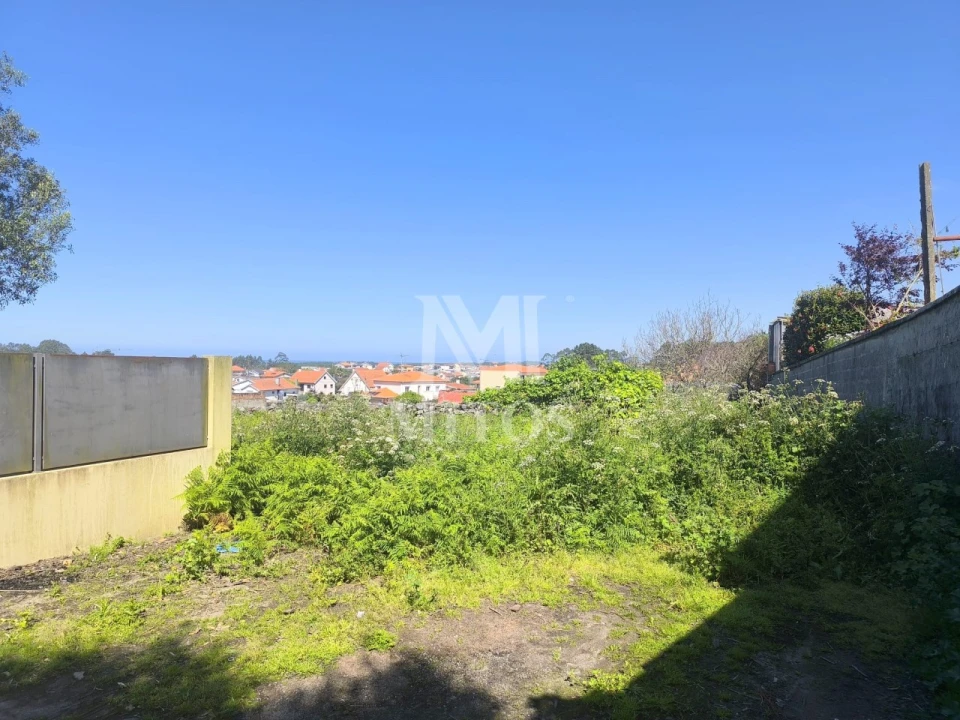 Terreno para Venda em Antas Foto 4