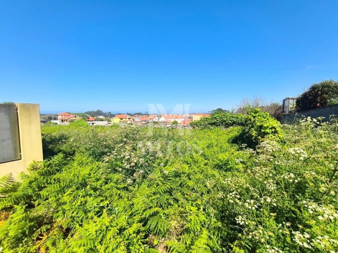 Terreno para Venda em Antas Foto 3