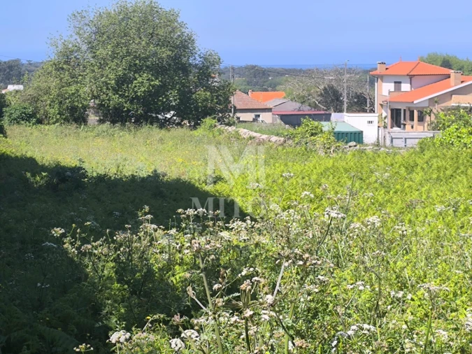 Terreno para Venda em Antas