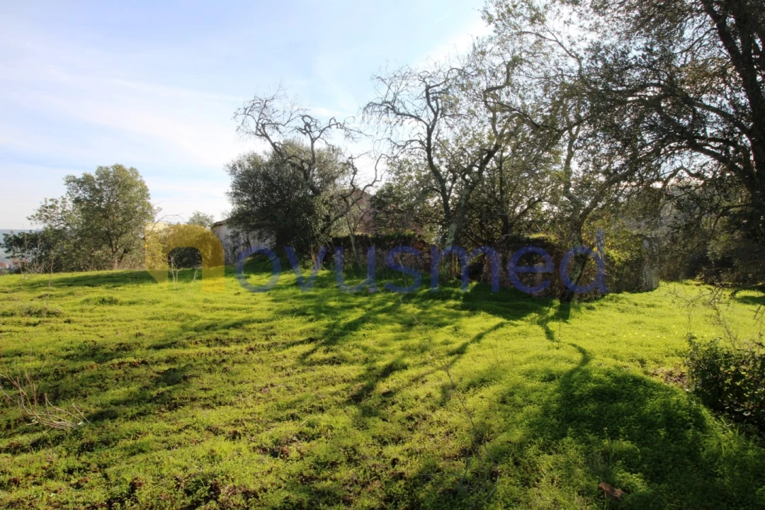 Quinta T3 para Venda em Alte Foto 22