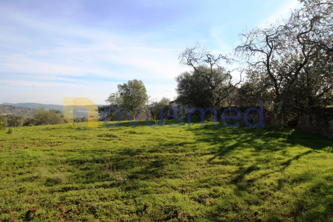 Quinta T3 para Venda em Alte Foto 23