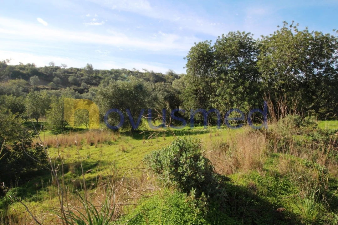 Quinta T3 para Venda em Alte Foto 25